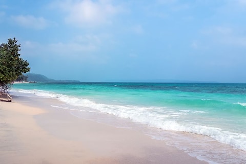 Elephant Beach